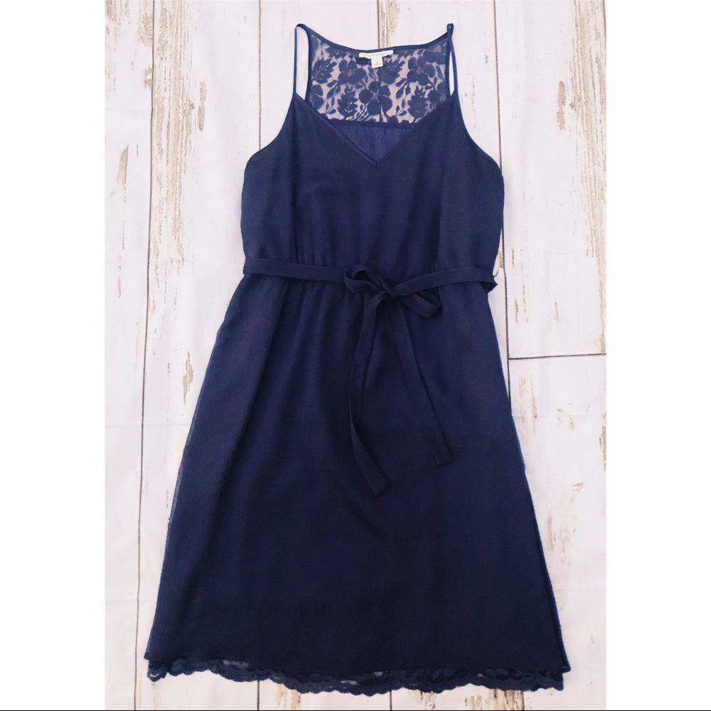 Banana Republic | Lace + Chiffon Fit & Flare | 14
